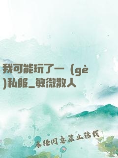 我可能玩了一個(gè)私服