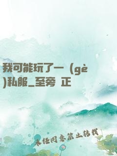我可能玩了一個(gè)私服
