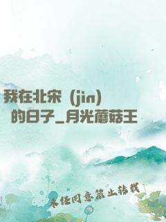 我在北宋進(jìn)貨的日子