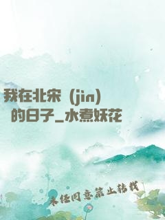 我在北宋進(jìn)貨的日子
