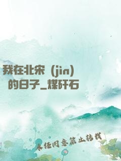 我在北宋進(jìn)貨的日子