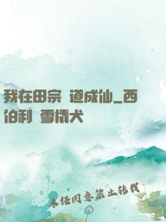 我在田宗劍道成仙