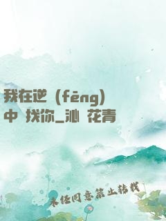我在逆風(fēng)中尋找你