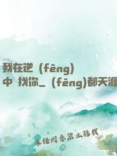 我在逆風(fēng)中尋找你