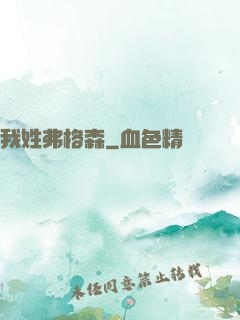 我姓弗格森