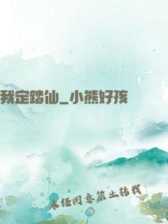 我定踏仙