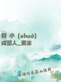 我寫小說(shuō)成圣人