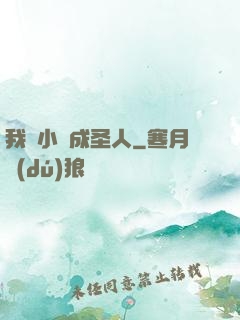 我寫小說成圣人