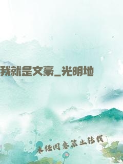 我就是文豪