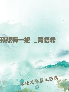 我想有一把劍