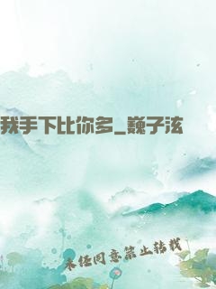 我手下比你多