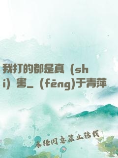 我打的都是真實(shí)傷害