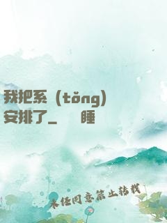 我把系統(tǒng)安排了