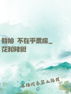 我拍戲不在乎票房