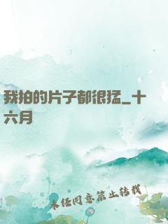 我拍的片子都很猛
