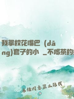 我拿?；ㄗ彀彤?dāng)套子的小說