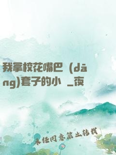 我拿?；ㄗ彀彤?dāng)套子的小說
