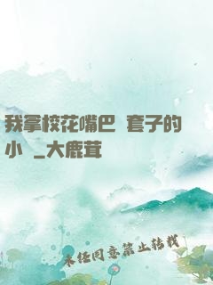 我拿校花嘴巴當套子的小說