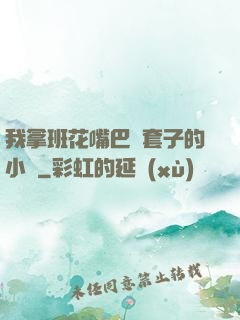 我拿班花嘴巴當套子的小說