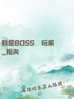 我是BOSS專懟玩家