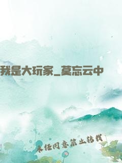 我是大玩家