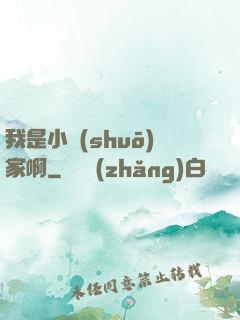 我是小說(shuō)家啊