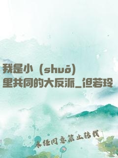 我是小說(shuō)里共同的大反派