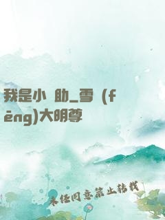 我是小輔助