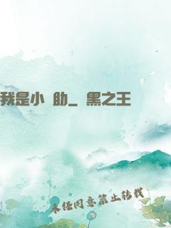 我是小輔助