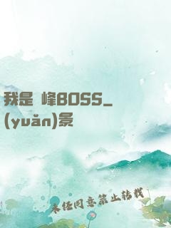 我是巔峰BOSS