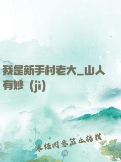 我是新手村老大