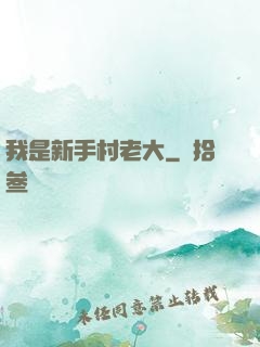 我是新手村老大