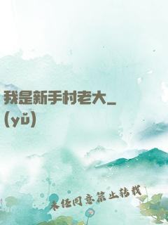 我是新手村老大