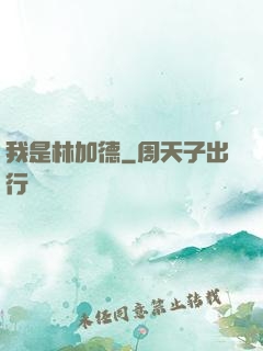 我是林加德