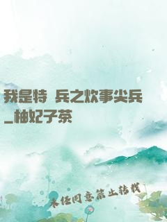 我是特種兵之炊事尖兵
