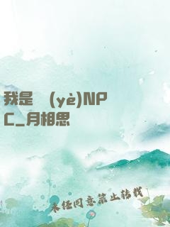 我是職業(yè)NPC