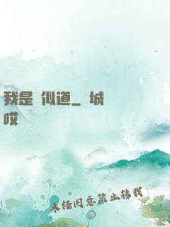 我是賈似道