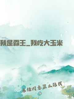 我是霸王