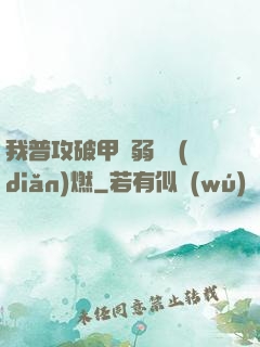 我普攻破甲虛弱帶點(diǎn)燃