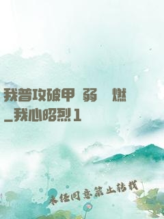 我普攻破甲虛弱帶點燃