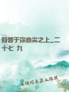 我曾于你心尖之上