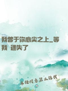 我曾于你心尖之上