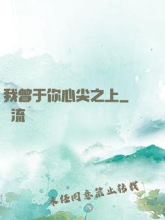 我曾于你心尖之上