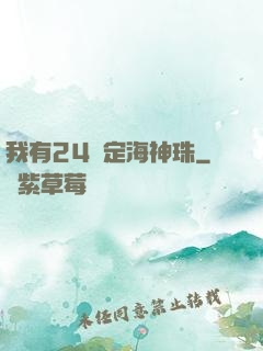 我有24顆定海神珠