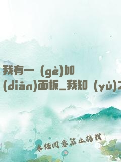 我有一個(gè)加點(diǎn)面板