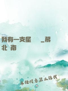 我有一支星際艦隊