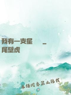 我有一支星際艦隊