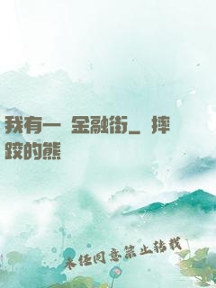 我有一條金融街