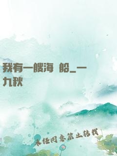 我有一艘海盜船