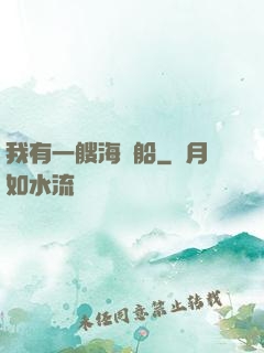 我有一艘海盜船